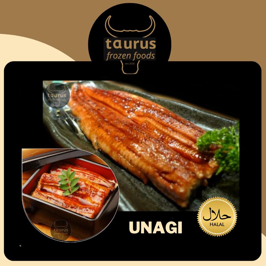 Unagi1